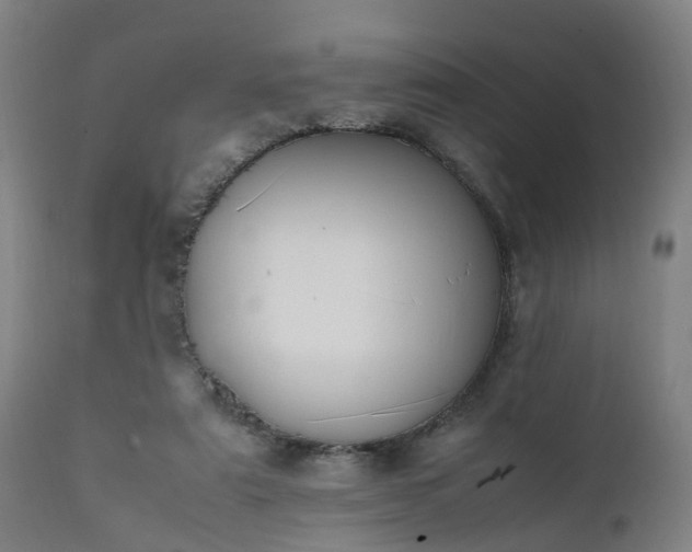 X0000111450307200907201056