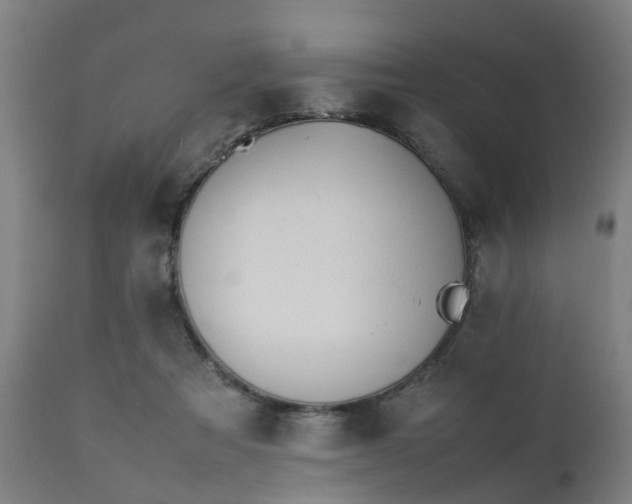 X0000111450313200907201056