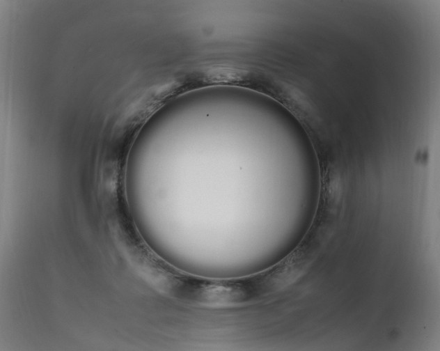 X0000111450315200907201056