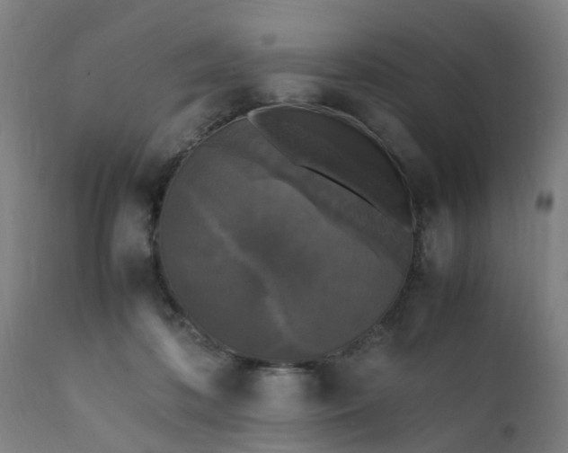 X0000111450316200907201056