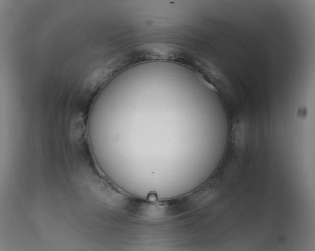 X0000111450318200907201056