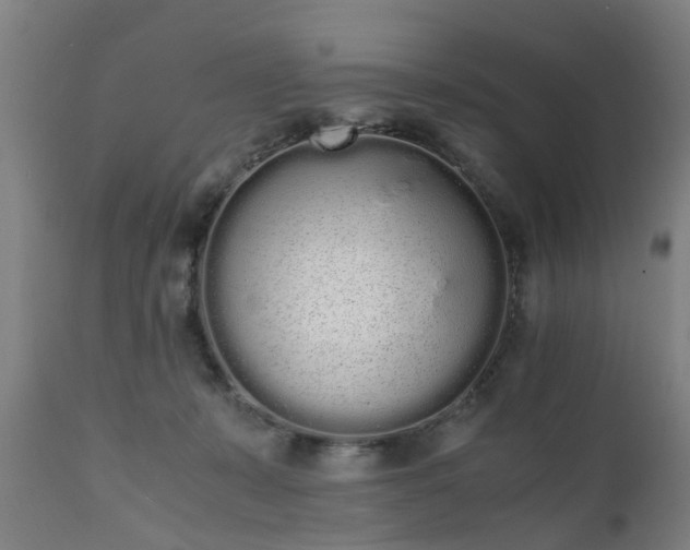 X0000111450319200907201056
