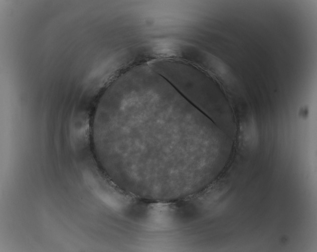 X0000111450320200907201056