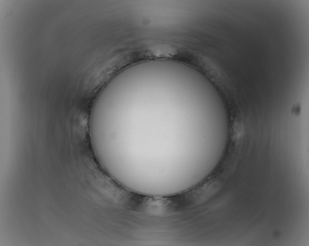 X0000111450321200907201056