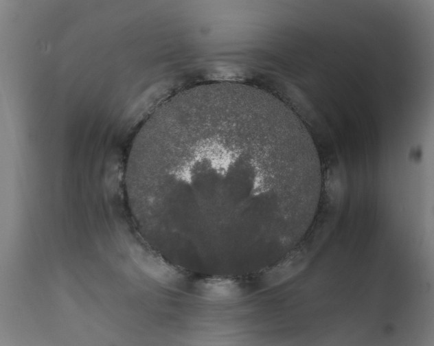 X0000111450322200907201056