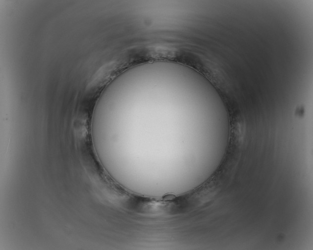 X0000111450323200907201056