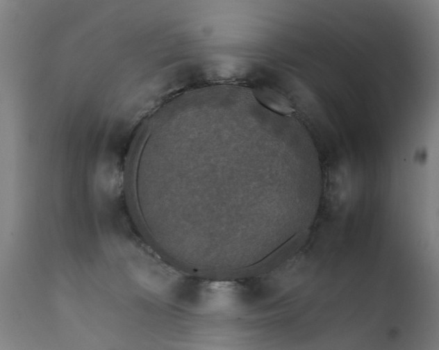 X0000111450324200907201055