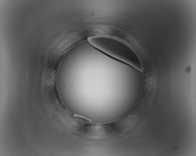 X0000111450325200907201055