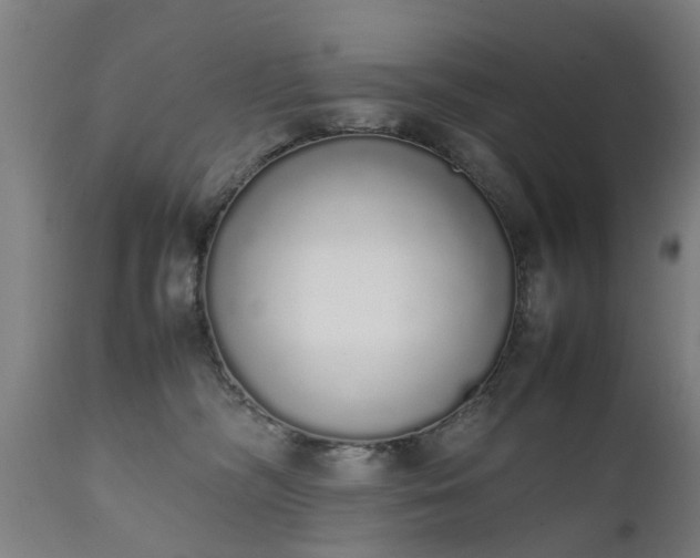 X0000111450326200907201055