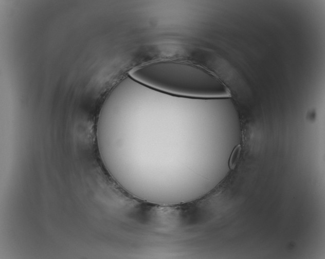 X0000111450327200907201055