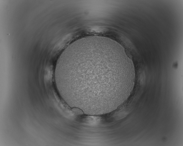 X0000111450328200907201055