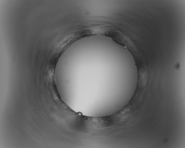 X0000111450329200907201055