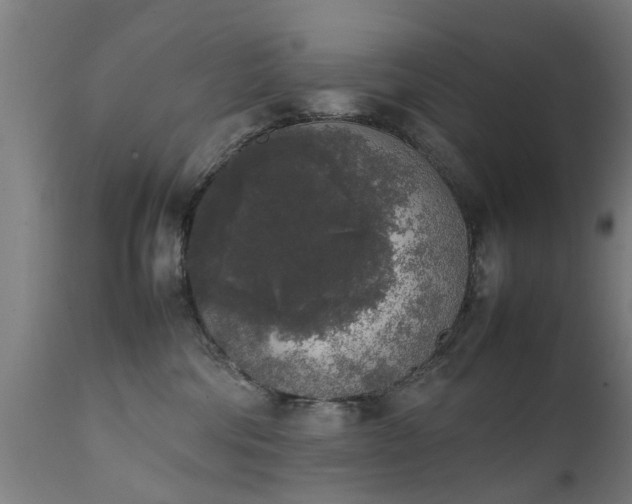 X0000111450330200907201055