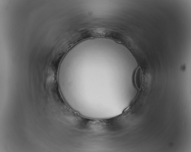 X0000111450331200907201055