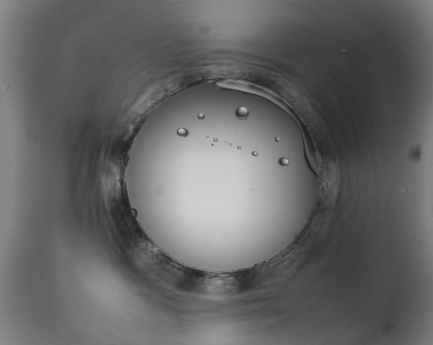 X0000111450333200907201055