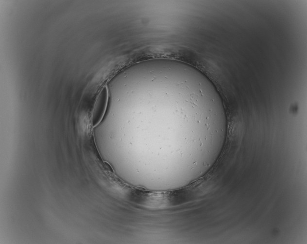 X0000111450335200907201055
