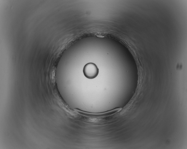 X0000111450336200907201055