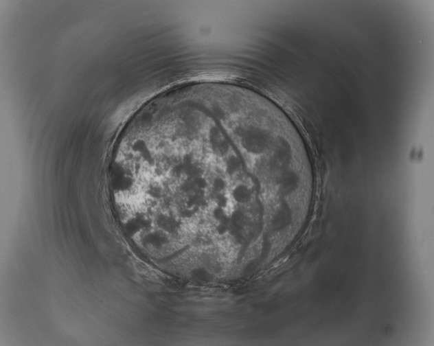 X0000111450337200907201054