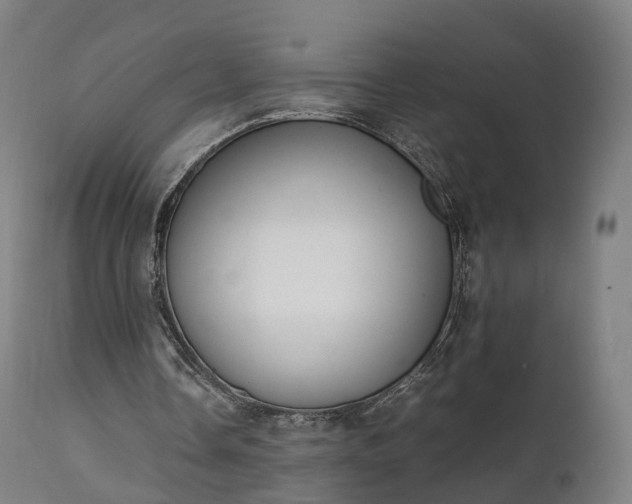 X0000111450338200907201054