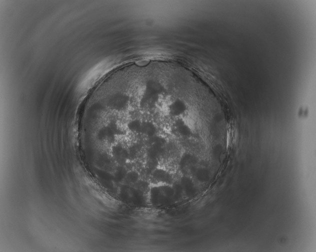 X0000111450339200907201054