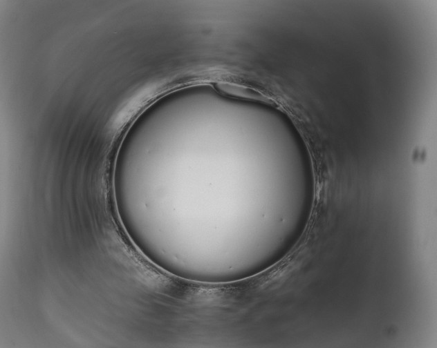 X0000111450341200907201054