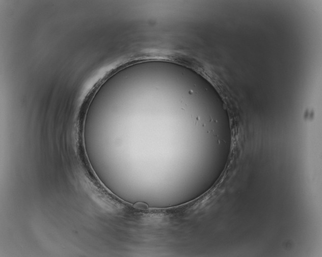 X0000111450342200907201054