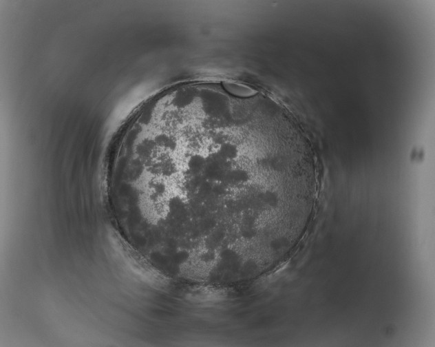 X0000111450343200907201054