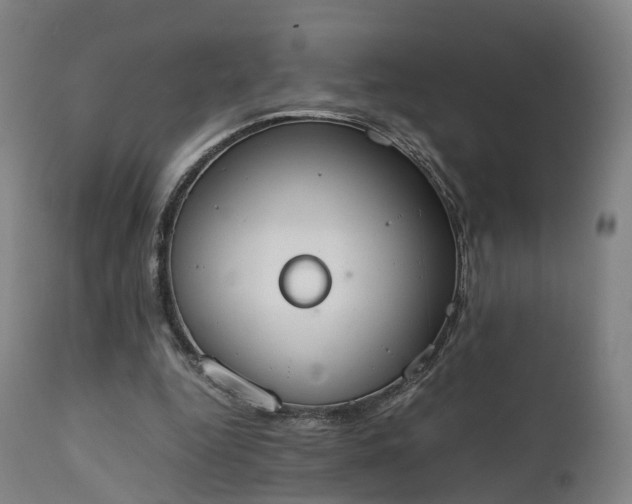 X0000111450344200907201054
