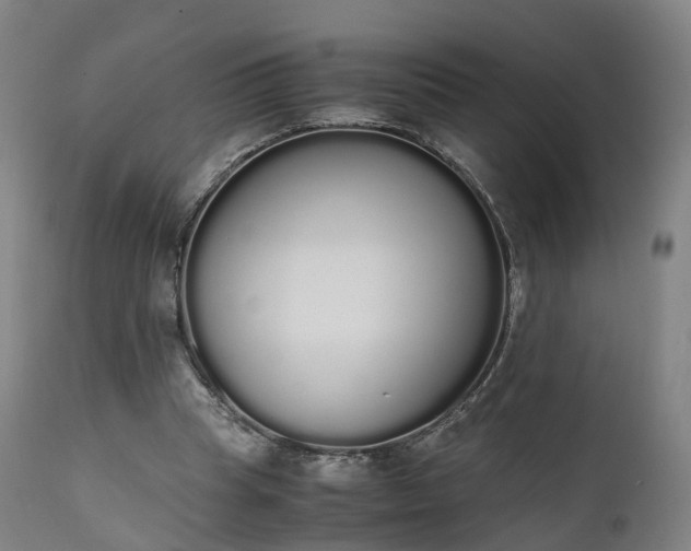 X0000111450345200907201054