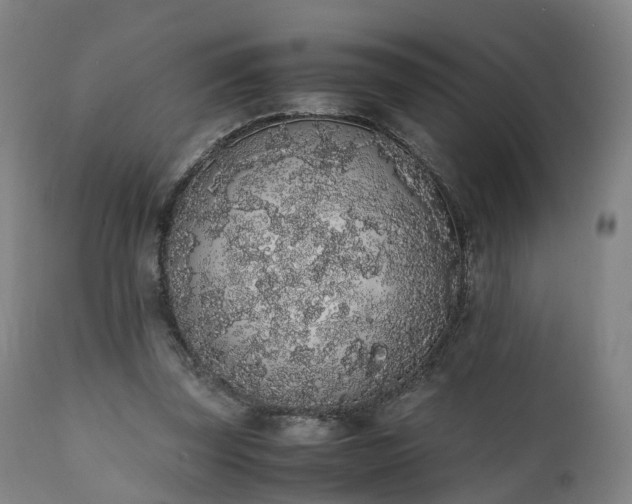 X0000111450347200907201054