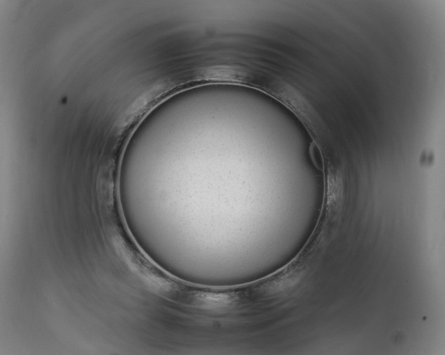 X0000111450349200907201054