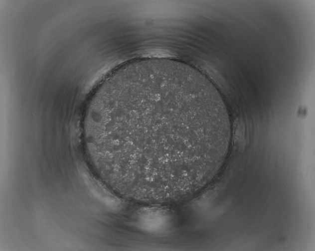X0000111450351200907201054