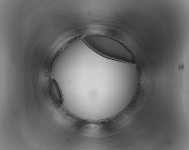 X0000111450352200907201054