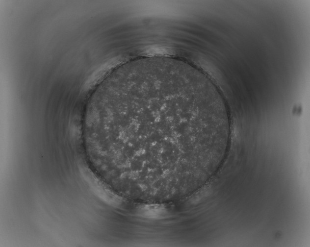 X0000111450353200907201054
