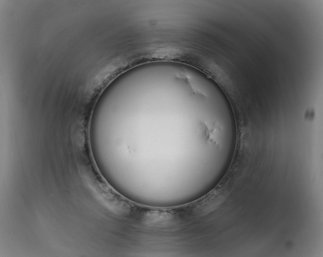 X0000111450354200907201054
