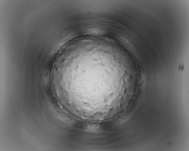 X0000111450355200907201054
