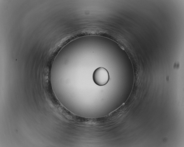 X0000111450356200907201055
