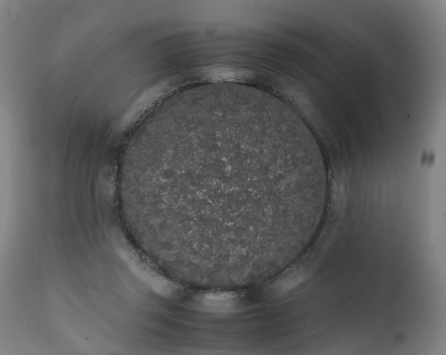 X0000111450357200907201055