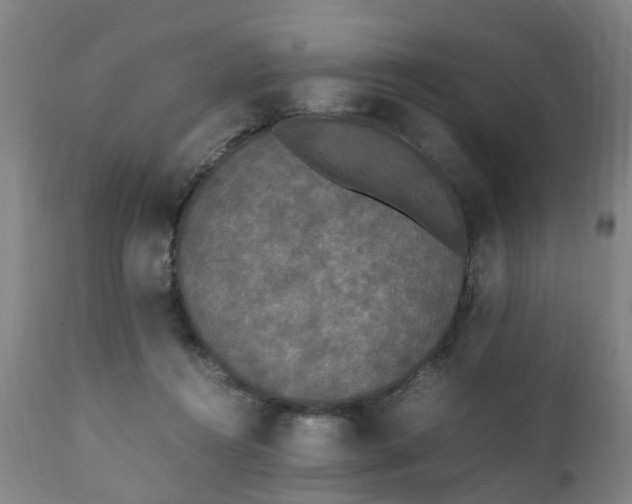 X0000111450360200907201055