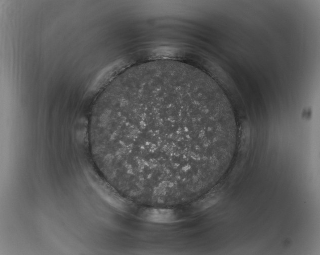 X0000111450361200907201055