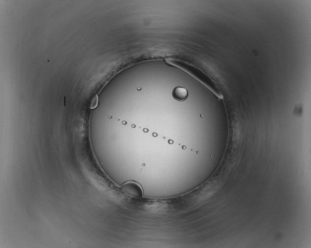 X0000111450362200907201055