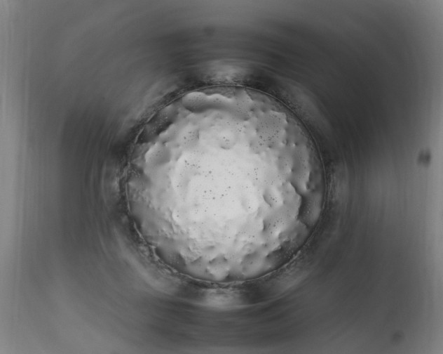 X0000111450363200907201055