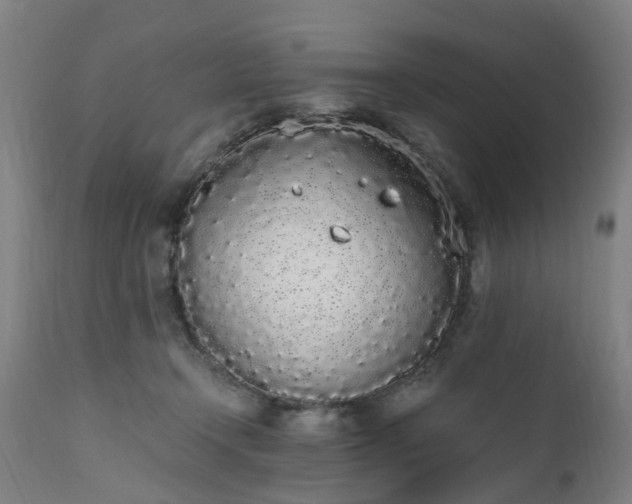 X0000111450366200907201055