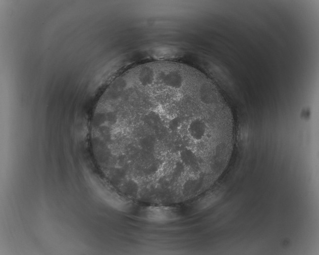 X0000111450367200907201055