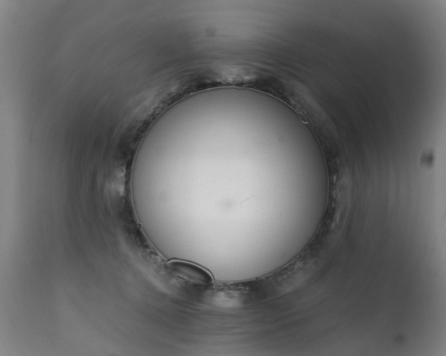 X0000111450368200907201055