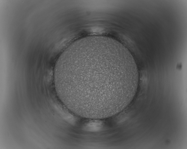 X0000111450369200907201055