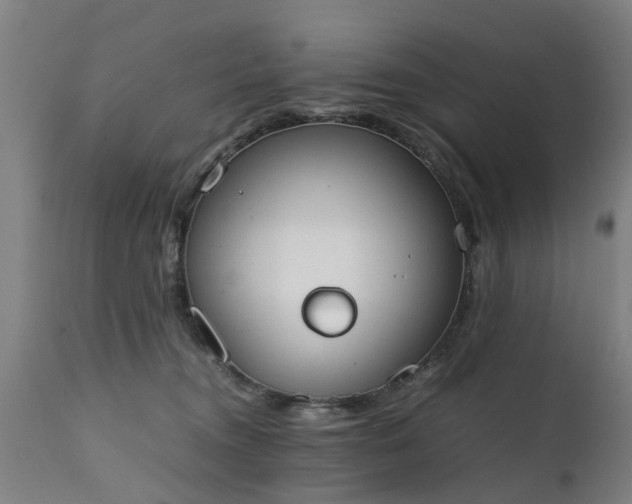 X0000111450372200907201055