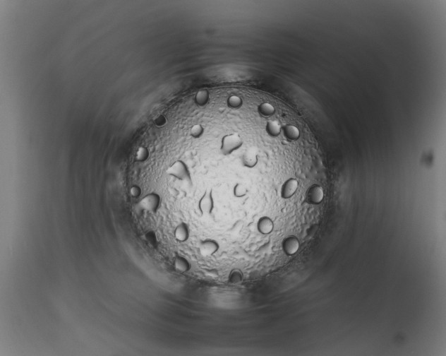 X0000111450373200907201055