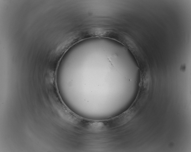 X0000111450374200907201055