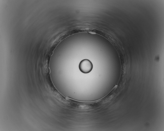 X0000111450376200907201055